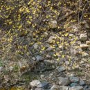 화천3리 이미지