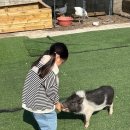 칠곡동물체험카페 이미지