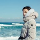 전지현 카카오 검색결과