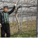 회천보건지소 이미지