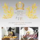 드림골프스토리 | 설날 부모님 선물 추천! 박세리도 반한 '골드드림' 24K 금잔, 골프 홀인원 기념품으로 딱이야