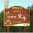 청해농원 이미지