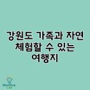 평창방림에너지 | 강원도 가족과 자연 체험할 수 있는 여행지