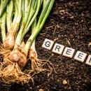 오산농장 이미지