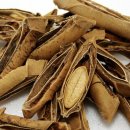 제천약초시장 이미지