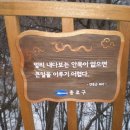 와룡공원길 이미지