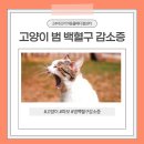 범 동물병원 이미지