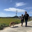 두번째산책 이미지