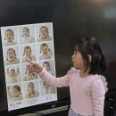 슈퍼거북자원을 소개합니다 이미지