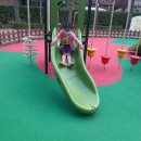 무궁화어린이공원 수 이미지