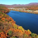 수원-1973 이미지