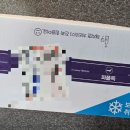 빌리지독 이미지