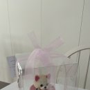 pit a pet (핏어펫) 이미지