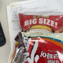 향학로 | 내 사랑은 자로 잰 듯이 반듯해