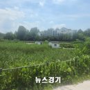 기흥호수공원 이미지