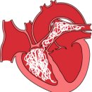 마루동물병원 이미지