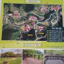 관광모텔 | 23년 9월의 기록: 영주여행 (국립산림치유원 한결청국장 브라운도트 풍산점)