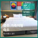 더호텔자자(THE HOTELZAZA) | 경주 가족여행 숙소 추천 체스터톤스 경주 더 테라스 호텔 레스토랑 조식 수영장 총정리