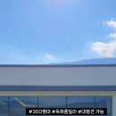 로이스애견풀빌라 이미지