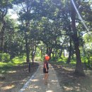 기계서숲 화장실 | [포항 둘레길 맨발로 30선] 기계서숲 근황