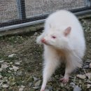 동물원 화장실 이미지