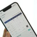 미용닷컴 | 강아지 건강검진 KT닷컴 티티케어 AI 상담 홈케어 후기