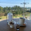 삼화사 | 동해 삼화사 가을 템플스테이 휴식형 후기 (2) 베틀바위 단풍 별보기 동해종합터미널 근처 카페 추천