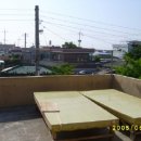 우진민박 이미지