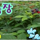 무주농업기술센터 이미지