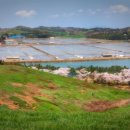 두산목장 이미지