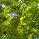 재민농장 이미지