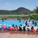 푸르내마을 이미지