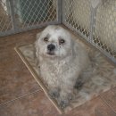 청운동물병원 이미지