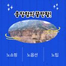 청원국제여행사