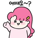 안 에스테틱