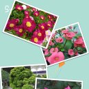 몽촌토성역 이미지