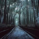 바람그늘