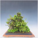 섬진축산 이미지