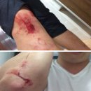 비봉지구대 이미지