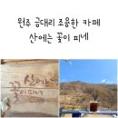 산에는 꽃이피네민박 | 원주 금대리 조용한 카페 산에는 꽃이 피네 원주 숨은 카페 명소