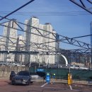 워시가이 이미지