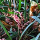 길상초등학교 이미지