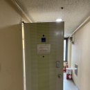 네일모레 이미지