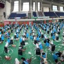 애견아트 이미지