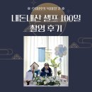 [호미맘의 육아일기] 내돈내산, 셀프 100일 촬영 후기 📸