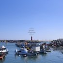 1박2일유람선연계코스 이미지