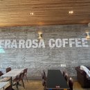 커피와소나무 이미지