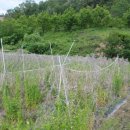 이건농장 이미지