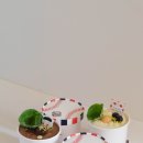 코코로카라