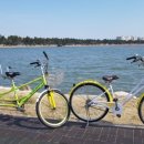 강릉경포그리고바다 이미지